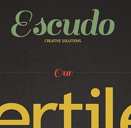 alziator - WEB development and advertising