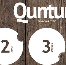 alziator - WEB development and advertising